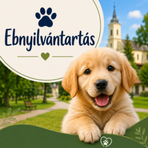 Ebnyilvántartás Gencsapáti